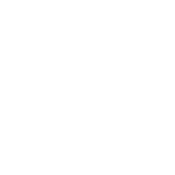 Logo Weiß PK