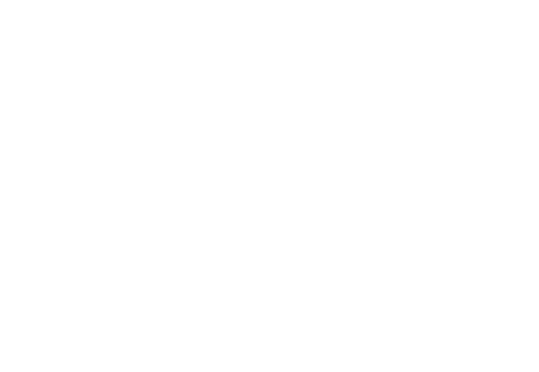 Logo Weiß PK
