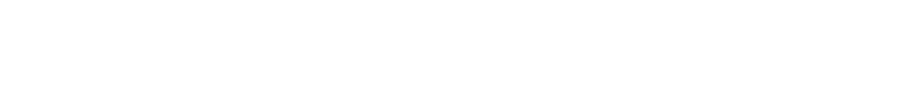 Studio Kaufmann Digital Design